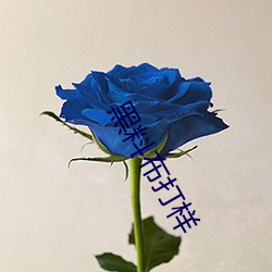 黑料布打样