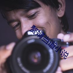 赘(贅)婿当道(道)小(小)说(說)
