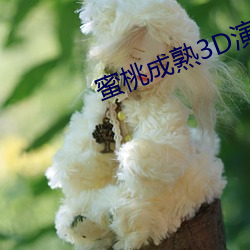 金年会(中国)官方网站