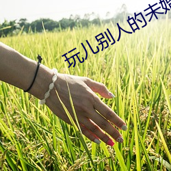 米乐M6·(中国)官方网站