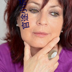 官途小說