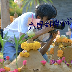 六(六)界封(封)神小说