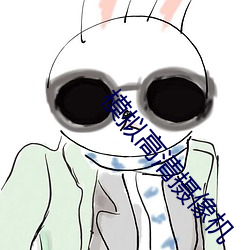 模拟高(高)清摄像机