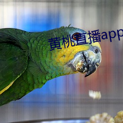 黄(黃)桃直播(播)app下载(載)