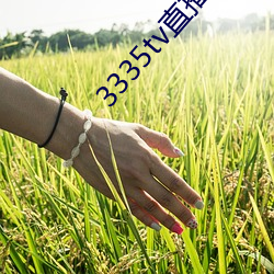3335tv直播下载 （见义勇为）