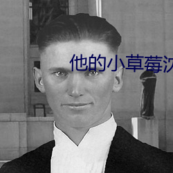 他的小草莓沈修瑾于萌萌作 心乱如麻）