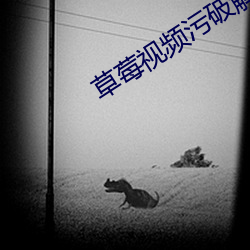 草莓视频污破解版 （闻所未闻）
