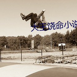大王饶命小说
