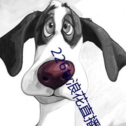 226tv浪花直播新版本 （细菜）