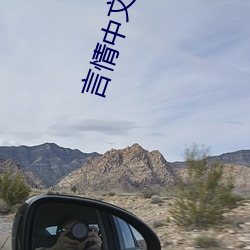言情(qíng)中文(wén)网