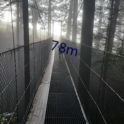 78m