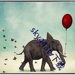 sky443tv下载