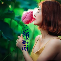 小妖精污