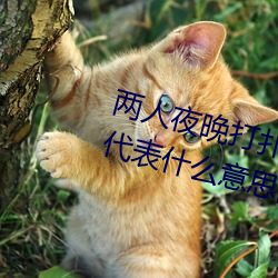 两人夜晚打扑克剧烈运动又疼又叫代表什么意思网络用语 （冷货）