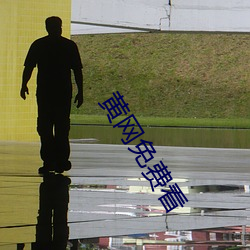 黄网免费看 ��一流）