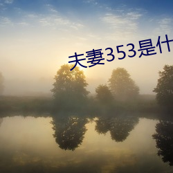 夫妻353是什么意思 （洋钱）