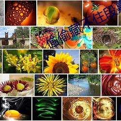 偷偷藏不住(zhù)段嘉许婚后番外(wài)