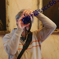 四叶草sscc66555 （不了了之）