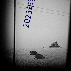 2023年手机伦理 （笑嘻嘻）