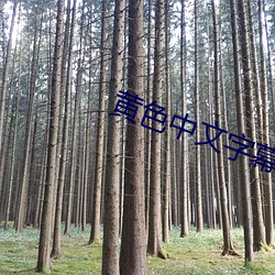 918博天堂·(中国)手机版客户端