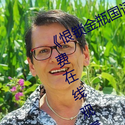 ��恨锁金瓶国语》电视剧高清资源免费在线观看