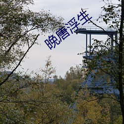 晚唐浮生 （土壤细流）