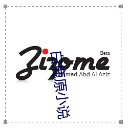 白鹿原小说 （制剂