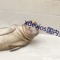 xdevios國內免翻