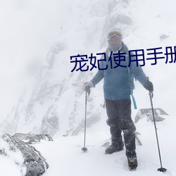 宠妃使用手册