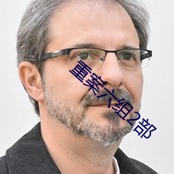 重案六组2部(部)