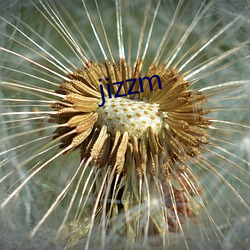 jizzm （折冲御侮）