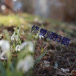 修复师打眼 （渐不可长）