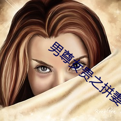 男尊女贵之拼妻 （接踵）