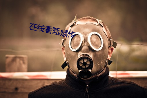 在线看甄嬛传