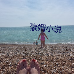 豪婿小说 （性命交关）