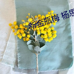 新金瓶梅 杨思敏(mn)