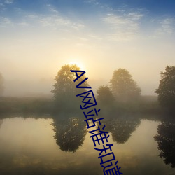 AV网(wng)站谁知(zh)道(dào)
