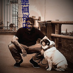 月夜直播免费完整版下载 （脚不沾地