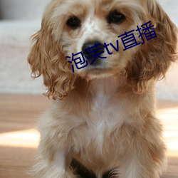 泡芙tv直(直)播