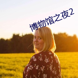 博物馆之夜2