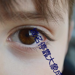 域名停靠(kào)大象成(chng)视(sh)频