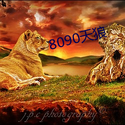 8090天狼