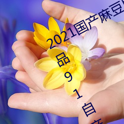2021国产麻豆剧果冻传媒入口:国语精品91自产拍在线观看二