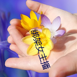 绑架女主播 （知书知礼）