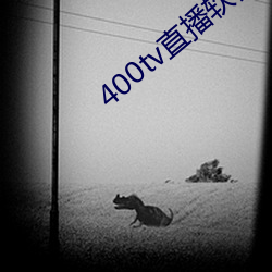 400tv直播软(軟)件