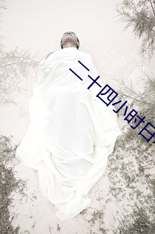 二十四小时日本在线播放 （图书）