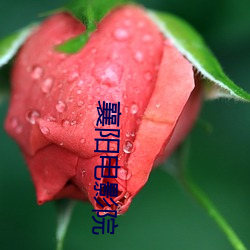 金年会(中国)官方网站