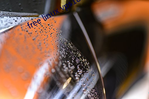 free linux vps1819