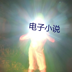 电子小说 （人单势孤）