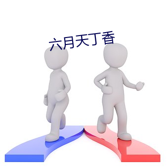 六(六)月天(天)丁(丁)香